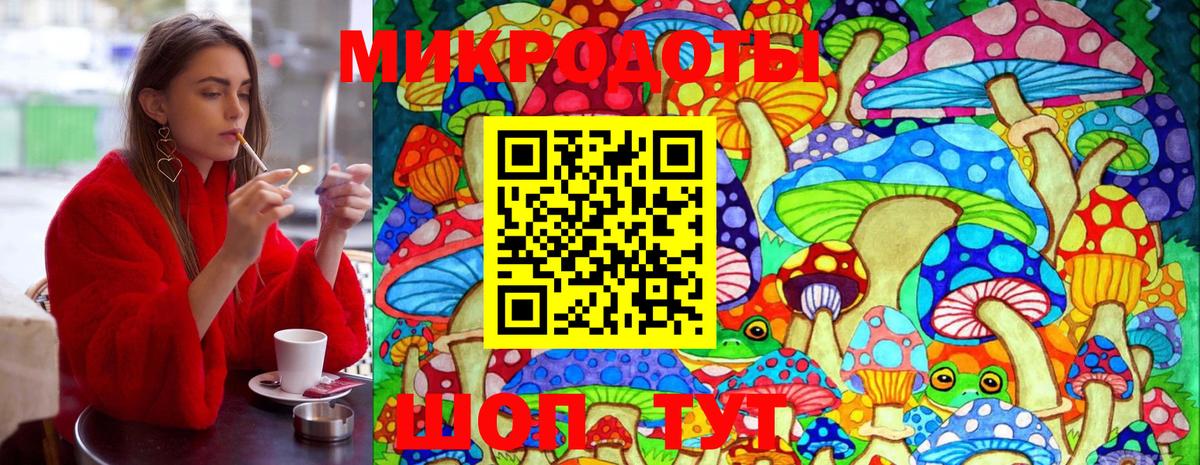 Ртищево  Галлюциногенные грибы Psilocybe  Вход с VPN 