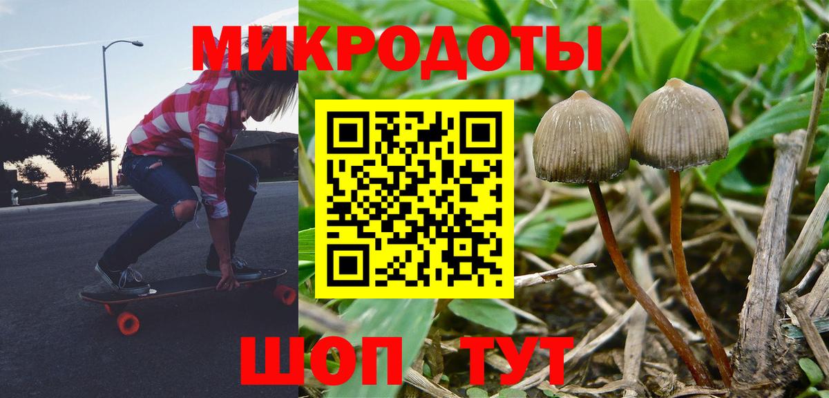 Псилоцибиновые грибы мицелий Ртищево